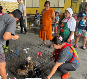 Bangkok Cat Society mobile clinic. Wat Khlong Toei Nok.